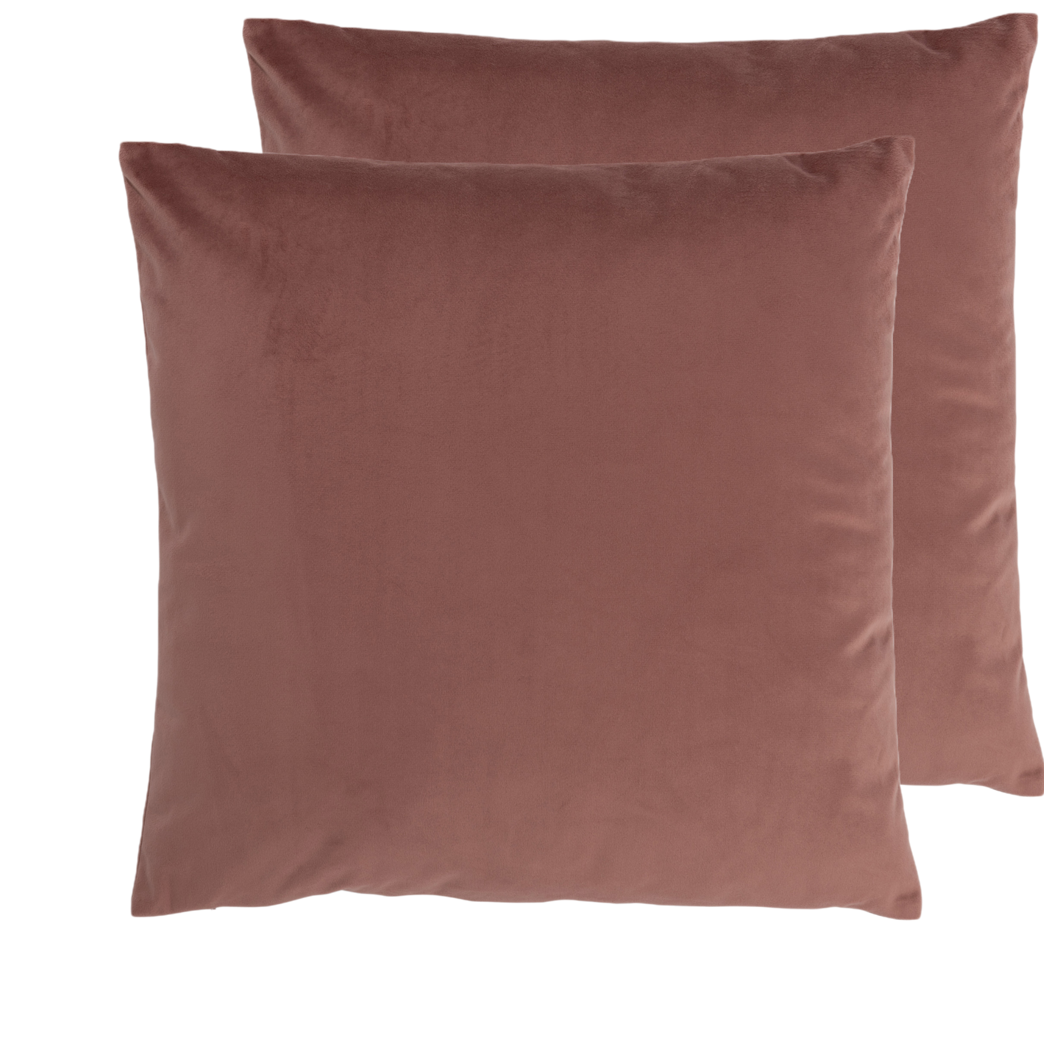 2x Coussin boune Rose